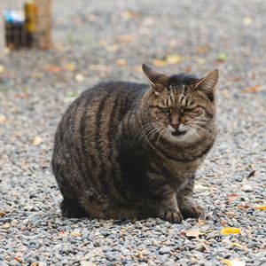 「何撮ってんだぁ？」