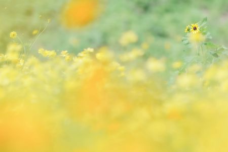 繋ぐ（夏から秋へ）