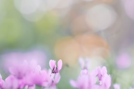 木漏れ日の下で