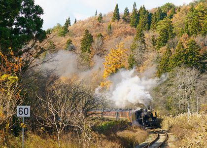 晩秋の慶徳峠（川吉踏切付近）