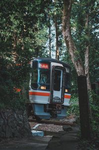 神社の参道を横切る電車