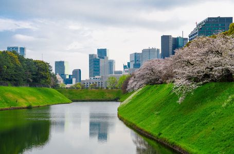 東京の春