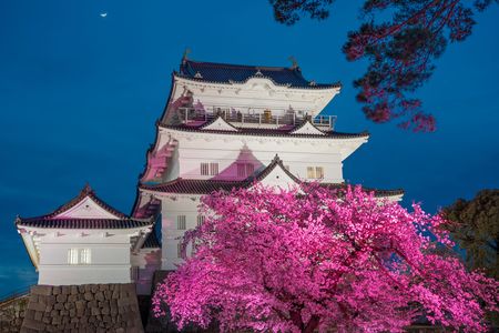 月夜城と夜桜リフレクション