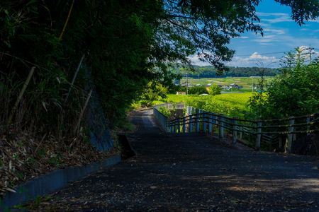 夏の田舎道