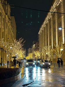 雨のイルミネーション