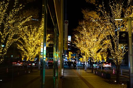 光と紅葉の並木道