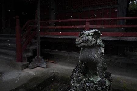 小雪舞う椋神社の狛犬