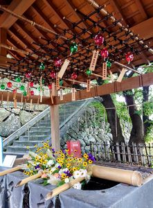 涼しげな夏のかおり