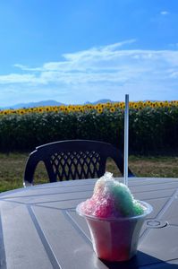 あなたと居た夏の日