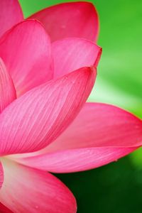 はすに構ってみました