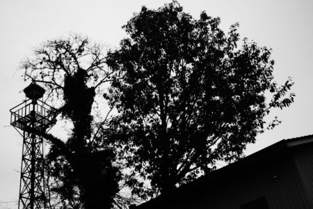 薄れゆく記憶と、覚醒する感情 portfolio - 0001