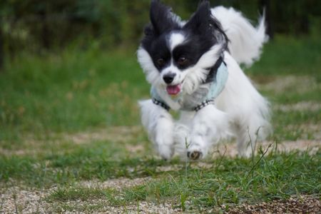 涼しくなって、ラン日和
