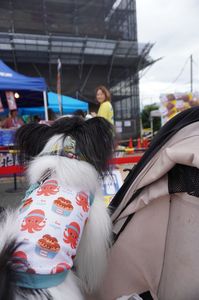 ママがシャルのためにたこ焼き買ってきましたよ！