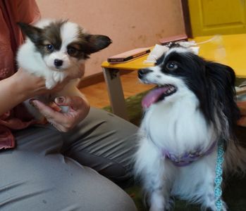 『おまえ美味そうだな』『あたち食べられるのかしら？』』