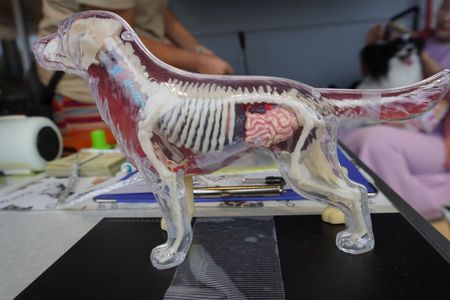 お客さん、凝ってますね～。ああ～、そこそこ