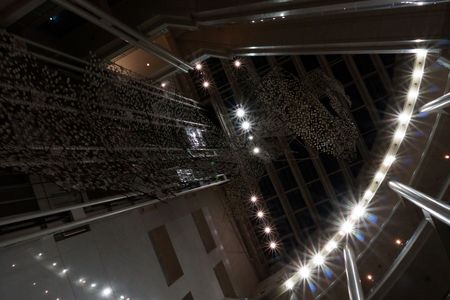 光に伸びる造形