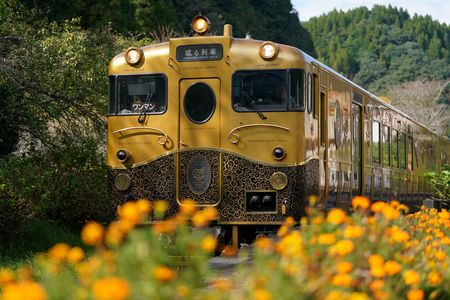 秋晴れの「或る列車」と「マリーゴールド」