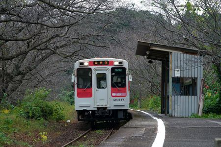 桜色のローカル鉄道