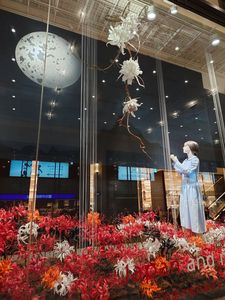 ショーウィンドウ