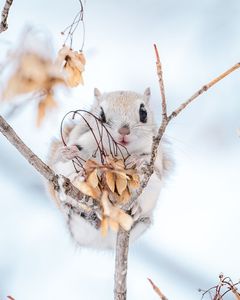 たくさん取れちゃった！