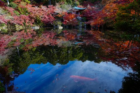 醍醐寺弁天池（京都府）