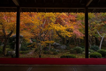 圓光寺の紅葉