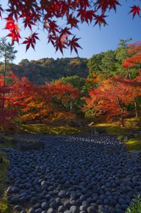 宝厳院の紅葉