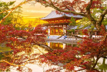 東大寺　中門　夕景