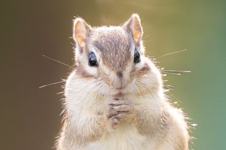 そんな顔してちゃダメだよ！