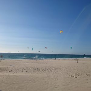 色とりどりのカイト