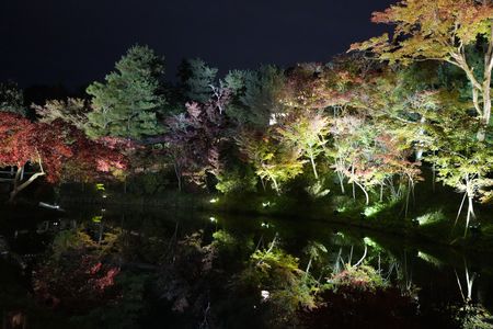 秋の京都高台寺