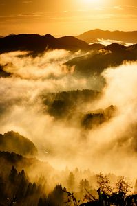 朝日に照らされた雲海