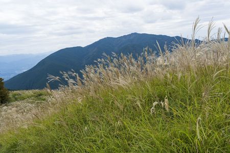 秋風感じる山路をゆく