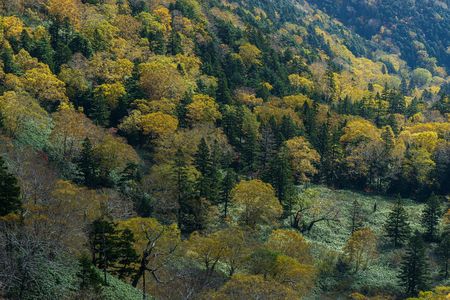 八幡平アスピーテラインの一風景