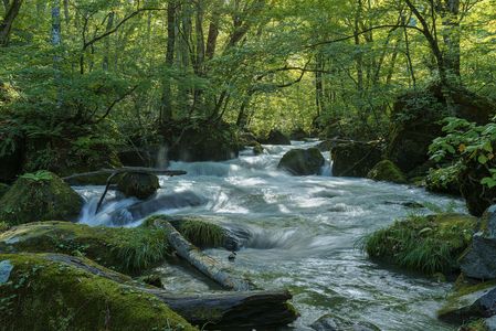 晩夏の奥入瀬渓流（阿修羅の流れ）