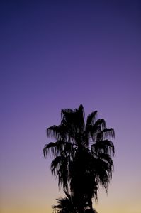 シーサイドスリーピング