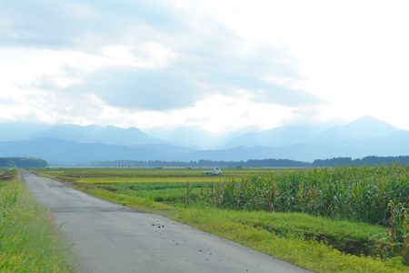 夏から秋へ