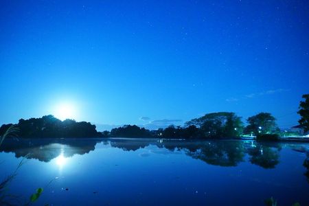 静かな夜に