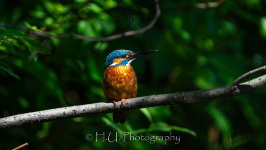 朝日のスポットライト