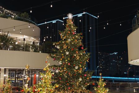 BAY QUATER YOKOHAMA CHRISTMAS FOREST