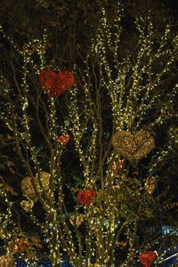 ハートのなる木