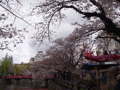 桜と姫路城と遊園地