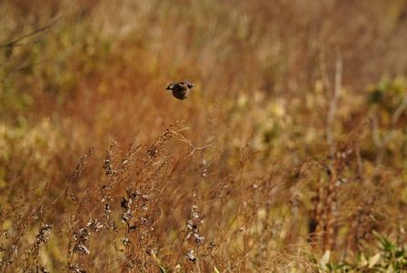 カックェ〜‼︎