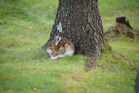 パイセンから呼び出し
