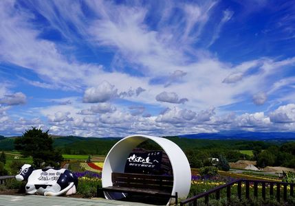 雲がいい仕事してくれる