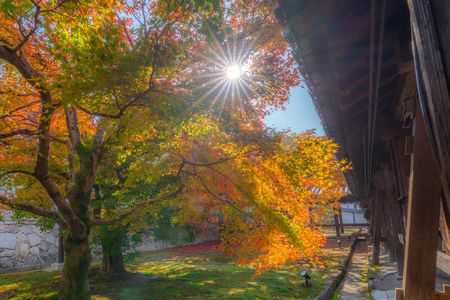 秋のグラデーション