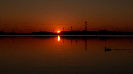 おうちへ帰ろー?