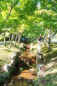 まだまだ冬はこない