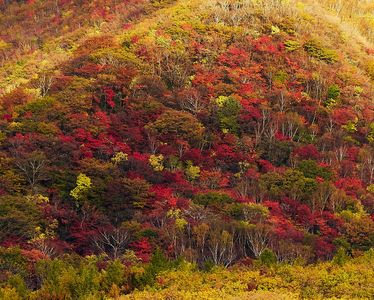 秋色に覆われる　那須高原
