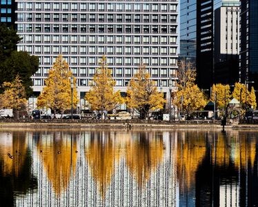 東京　大手町の秋